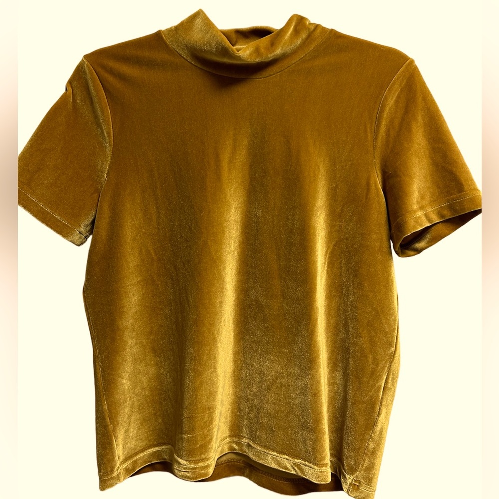 Madewell Gold Velvet Mockneck T-shirt